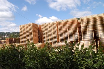 Wood boards piled up in a forestry exploitation