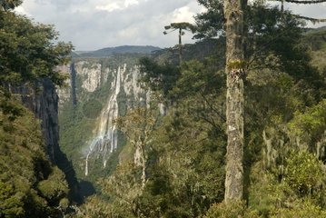 Waterfalls site of Itaimbezinho in the Aparados NP Brazil