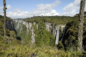 Waterfalls site of Itaimbezinho in the Aparados NP Brazil