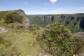 Fortaleza Canyon NP in the Serra Geral in Brazil
