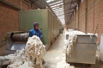 Alpacas in crude workshops Coproca Bolivia