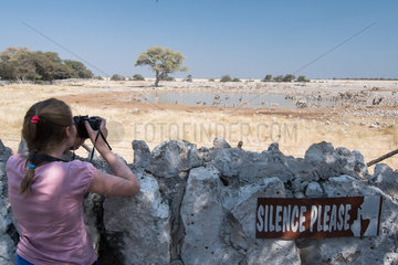 Young girl photographing wildlife at the waterhole safely behind a low stone wall. Okaukuejo Camp  Etohsa  Namibia.