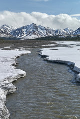 Teklanika river  in spring  Denali National Park  Alaska
