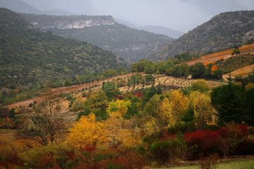Autumn landscape of Vaucluse Provence France