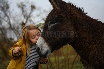 Girl kissing a donkey in the meadow in fall France