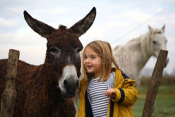 Girl stroking a donkey in the meadow in fall France