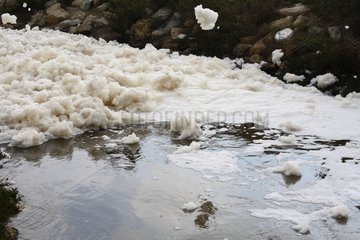 Foam on a stream pollution France