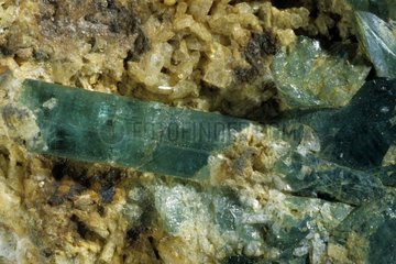 Emerald originated from Muso Colombia