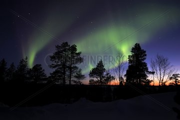 Aurora borealis in Kaamanen area Finland