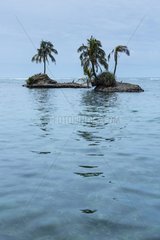 South Zapatilla Cay Isla Bastimentos Panama Caribbean Sea