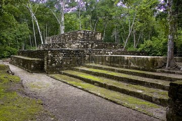 Maya ruins in tropical forest Mexico