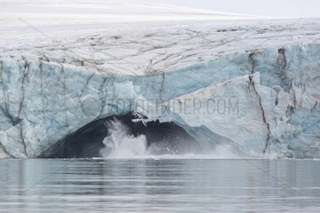 Calving or collapse of glacier Pedasenkobreen  Spitzberg  Svalbard