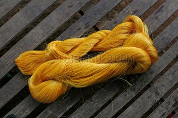 Skein of yellow silk thread Cambodia
