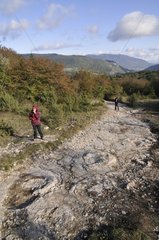 Ort der Fußabdrücke von Sauropod -Dinosauriern in Schlammstein Frankreich