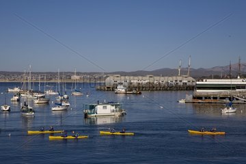 Sea Kayak Port Monterey California USA