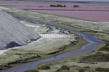 Salt marshes of Salins de Giraud in Camargue France
