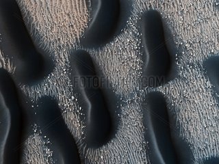 Dark Dune Fields of Proctor Crater on Mars