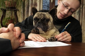 Signing a contract of dog insurance for a Bulldog