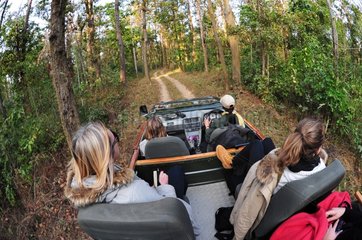 Tourists vehicle on a forest track Kanha NP India