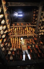 Rows of saussices and hams hung drying France