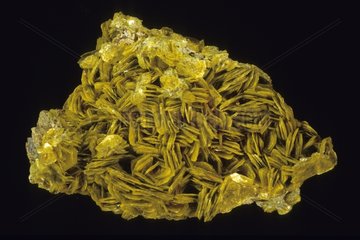 Autunite from Nievre in France
