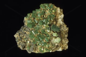 Torbernite radioactive mineral from Aveyron France