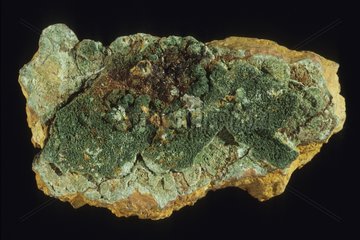 Curite radioactive mineral from Katanga Congo