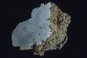Siderite meteorite from Buenos Aires Argentina