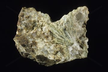 Sillimanite from the United States