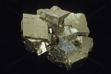 Pyrite from Nicoletta Italy