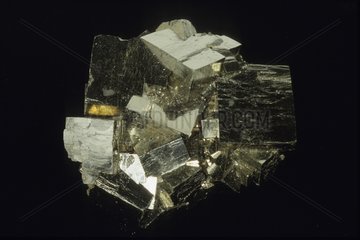 Pyrite from Nicoletta Italy