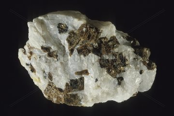 Cryolite native to Ivigtut in Greenland