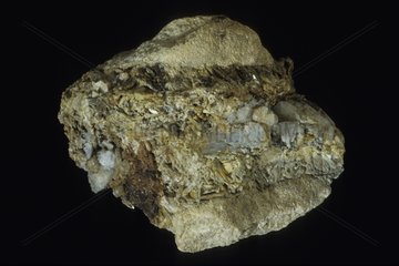 Tremolite from Ariège