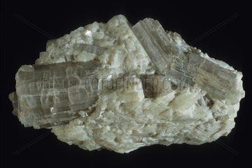 Tremolite from Governors Island in the United States