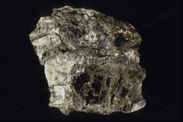 Manganophyllite originated from India