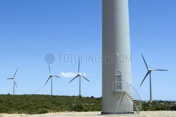 Treppenzugang zu einer Windmühle Aude Frankreich