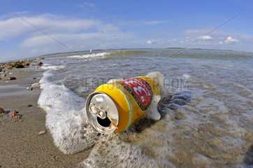 Cannette empty beer thrown into the sea