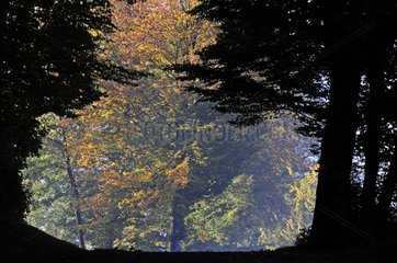 Brognard plateau in autumn Franche-Comté France