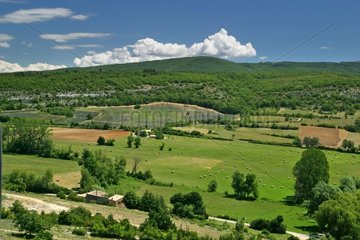 Landscape of Provence Sault Vaucluse [AT]
