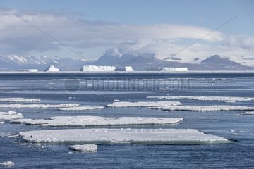 Ice floes and icebergs - Ross Sea Antarctic