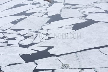 Ice floes drifting - Ross Sea Antarctic