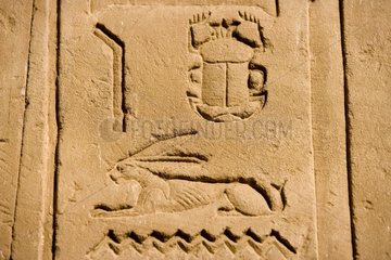 Hiéroglyphen des ägyptischen Bestiariums des Tempels von Edfou Ägypten