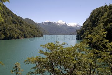 Futalaufquen lake and wooded banks Los Alerces NP Patagonia
