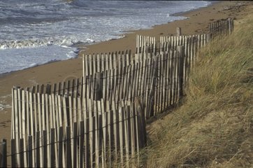 Reparieren der Dünen am Strand schafft D'Lonne Frankreich