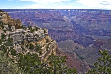 Landscape of Colorado Grand Canyon USA