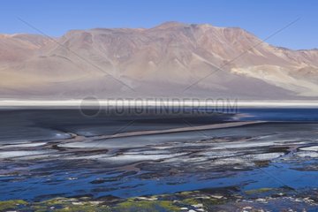 Salt Lake auf dem Altiplano in der Nähe von San Pedro Chile