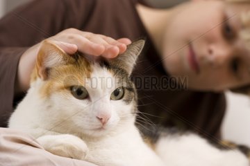 Cat cherished by a child France