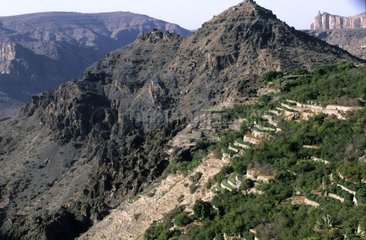 Terraces of Al Ayn Plate of Sayq Sultanate of Oman