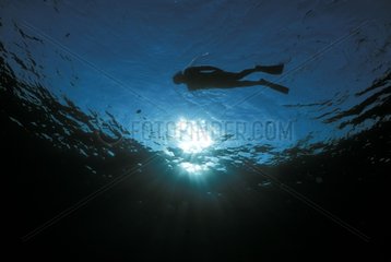 Silhouette eines Apnoe -Tauchers auf der Roten Meeresoberfläche