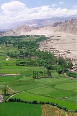 Leh und das Indus Ladakh India Valley